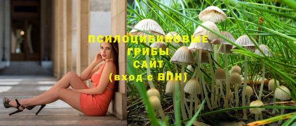 прущие крисы Алексин