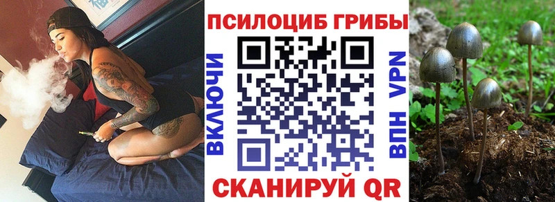 купить  цена  Ижевск  Галлюциногенные грибы мицелий 